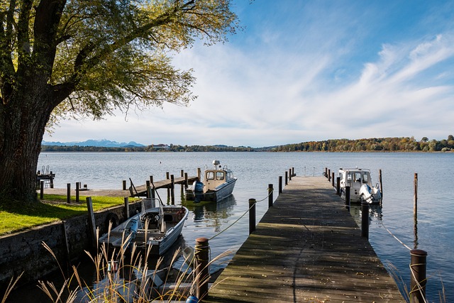 民生命的大 民生命的大