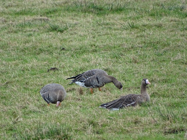 今年以来 今年以来