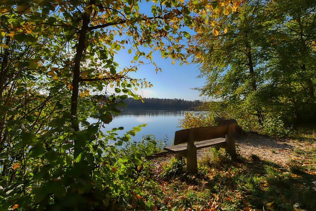 吉安卢卡 吉安卢卡